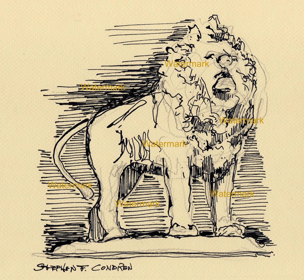 African Lion Limited Edition Print – J Patterson Studio