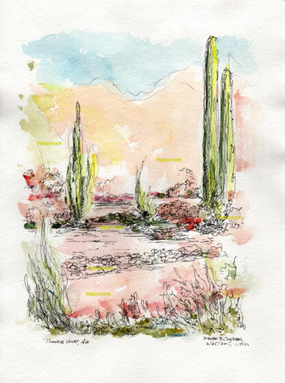 Arizona desert landscape #623A pen & ink garden watercolor with it's view of cactus flowers, and grasses.
