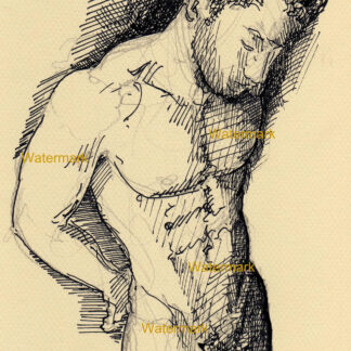 Nude male figure #1023A pen & ink torso drawing with handsome physique including fit torso, 6-pack, and abs.