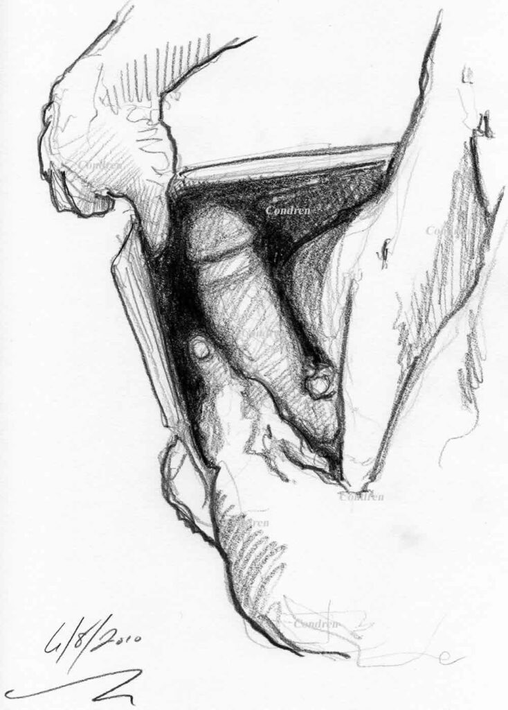 Pencil drawing of a gay man hold his penis in his pants looking down on it, by artist Stephen F. Condren.