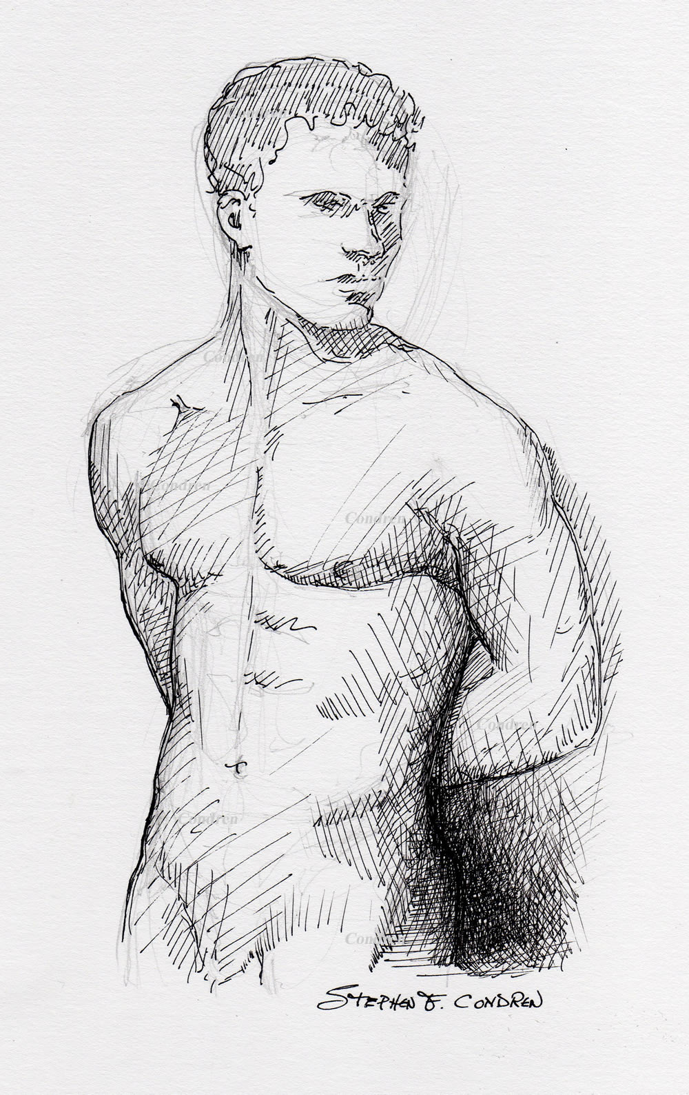 Nude male pen&ink #593Z, a male torso pen & ink drawing with pencil, offering prints & scans, by artist Stephen F. Condren of Condren Galleries, with gay LGBTQ approved prints, and scans.