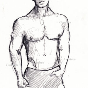 Abel Albonetti #350A pencil figure drawing of his male beauty, physique, pecs, abs, and 6-pack.