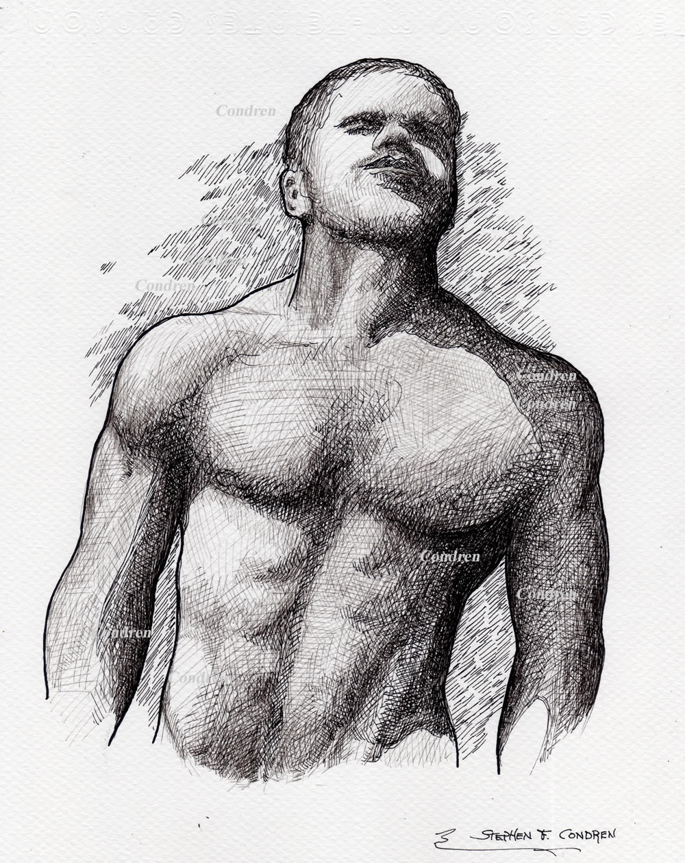 Male figure pen&ink #324Z, or manly physique stylus sketch by artist Stephen F. Condren of Condren Galleries, with gay LGBTQ approved prints, and scans.