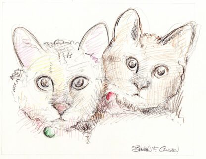 Color pencil sketch of kittens.