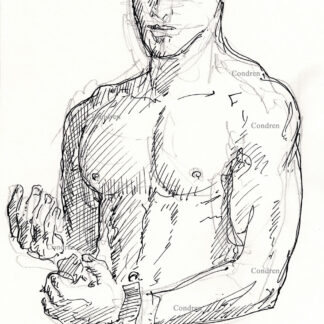 Young shirtless male 334A torso pen & ink gay figure drawing by artist Stephen Condren.
