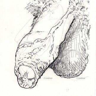 Penis 445A that is uncut, with large veins and foreskin gay pen & ink figure drawing.