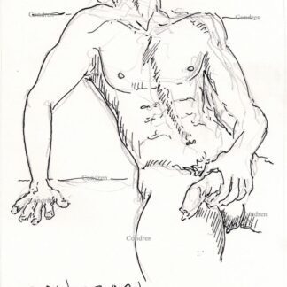 Nude male 447A laying with hand holding uncut flaccid penis, gay pen & ink figure drawing.