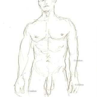 Nude gay male 449A pencil drawing standing with large uncut flaccid penis and harry balls.