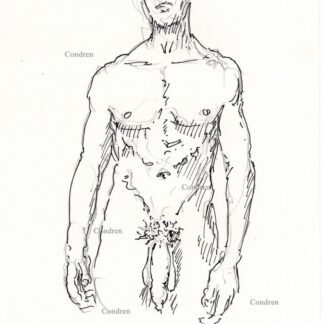 Nude gay male 450A standing with large flaccid uncut penis and harry balls pen & ink drawing.