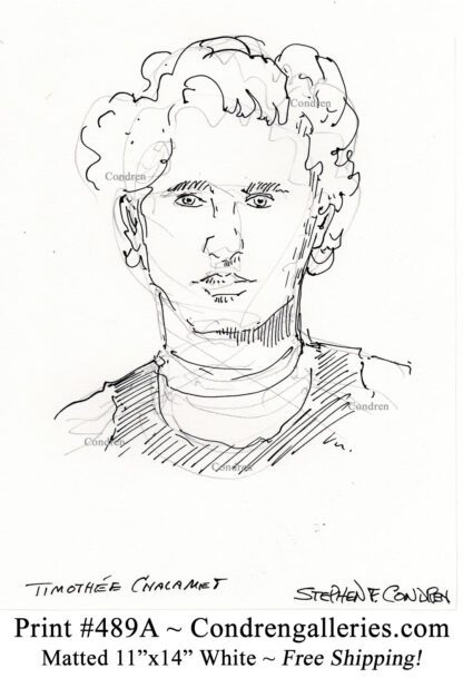 Timothee Chalamet 489A celebrity actor pen & ink portrait drawing by artist Stephen Condren.