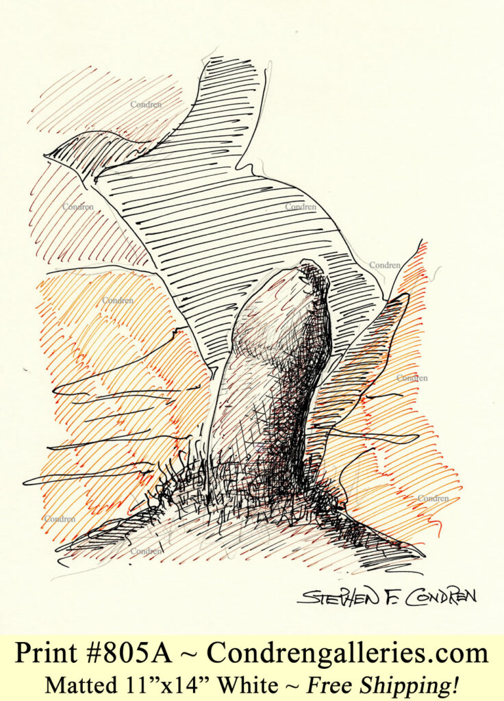 Uncut hardon penis 805A pen & ink gay figure drawing with pubic hair on loins.