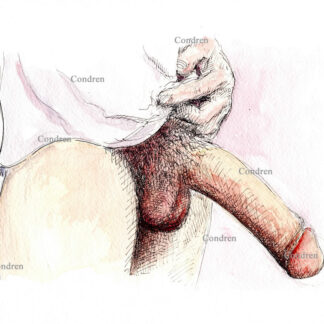 Hardon cock with massive hairy balls and large head, pen & ink watercolor drawing.