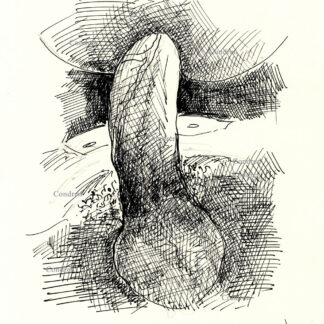 Hardon cock fucking a hot gay boy in his smooth sweet ass bare back, pen & ink figure drawing. This big hairy uncut cock is thick and has large veins.