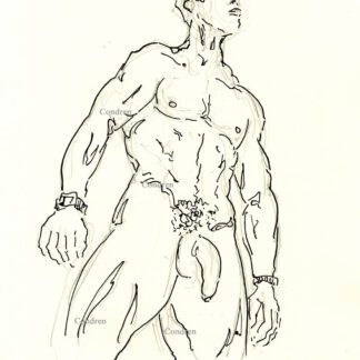 Gay naked male standing with big hairy cock and balls hanging out. He has a muscular physique and a 6-pack set of abs and well-developed pecs. Pen & ink figure drawing. Gay male figure drawing.