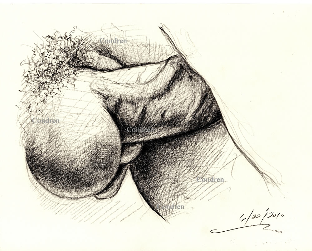 Penis fucking ass of hot boy under sheets. This massive thick cock has large sexy veins all over the skin. Gay sex art pencil male figure drawing. Penis fucks ass.