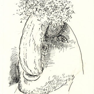 Boy sucking big cock and large hairy balls hanging in his mouth. Gay male sex pen & ink figure drawing. Boy sucks big cock.
