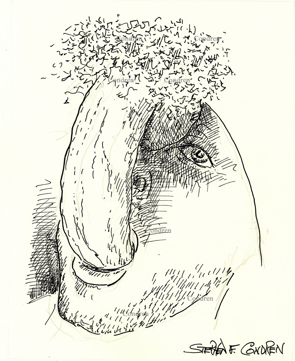 Boy sucking big cock and large hairy balls hanging in his mouth. Gay male sex pen & ink figure drawing. Boy sucks big cock.