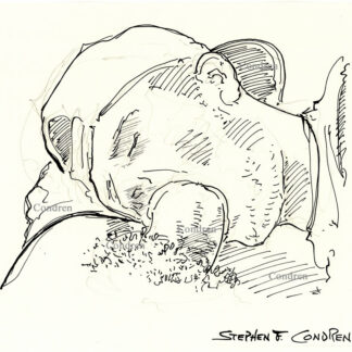 Ball cap boy sucking a thick hairy cock and balls with his cute face and lips. Gay sex pen & ink male figure drawing. SKU #6058A. Ball cap boy sucks.