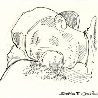 Cock sucking boy with a cute face and big mouth takes in a huge hairy cock deep throat. He is young and cute wearing a ball cap backwards. Gay male pen & ink sex figure drawing.