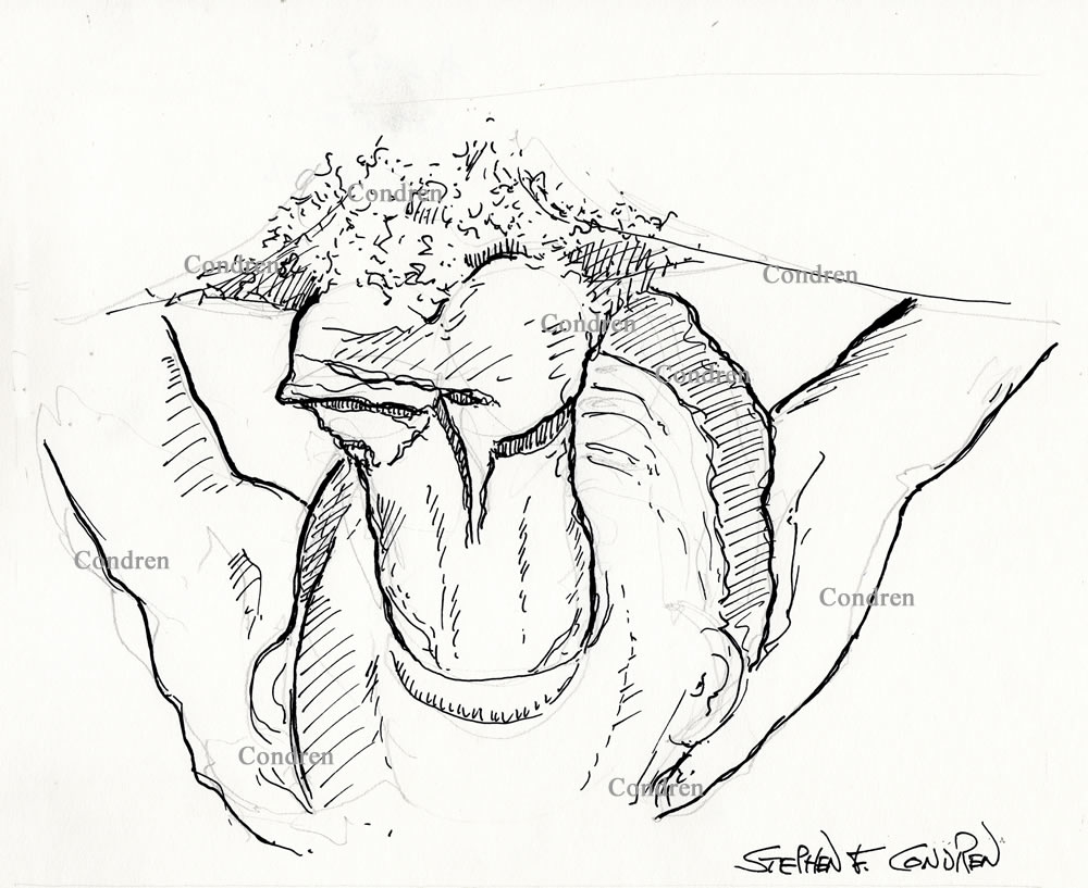 Dad fucking son's mouth with his big thick cock and large hairy balls. Gay male incest sex pen & ink figure drawing. Dad fucks son's mouth.