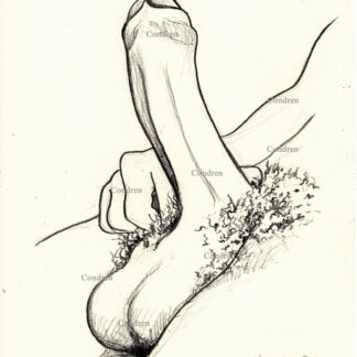 Hardon cock with balls with with pubic hair. Gay sex art pencil male figure drawing. Hardon cock and balls.